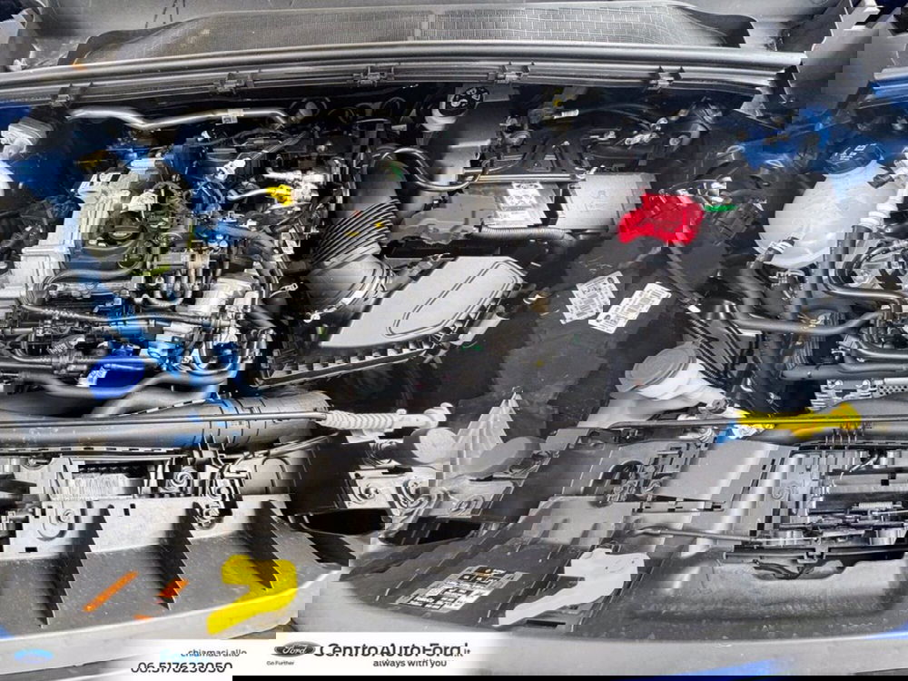 Ford Puma usata a Roma (12)