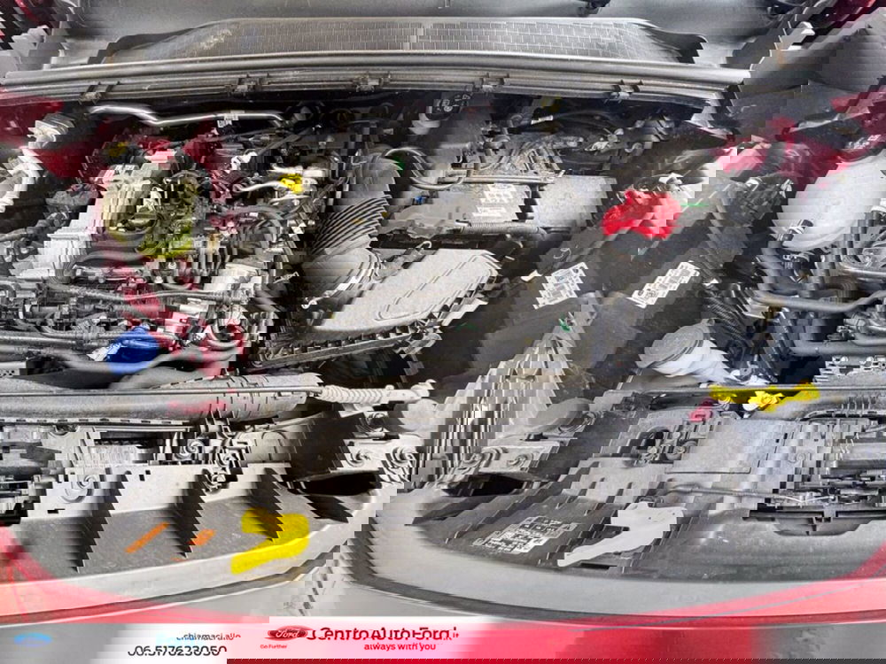 Ford Puma usata a Roma (12)