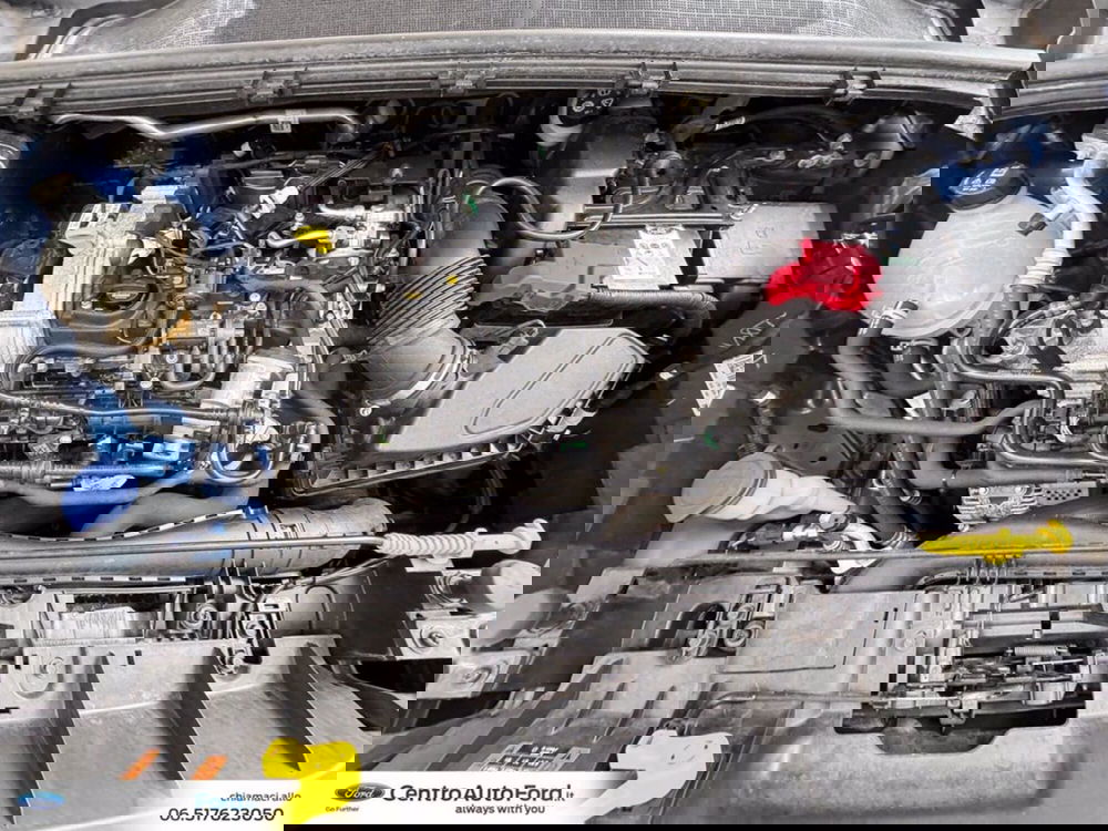 Ford Puma usata a Roma (12)