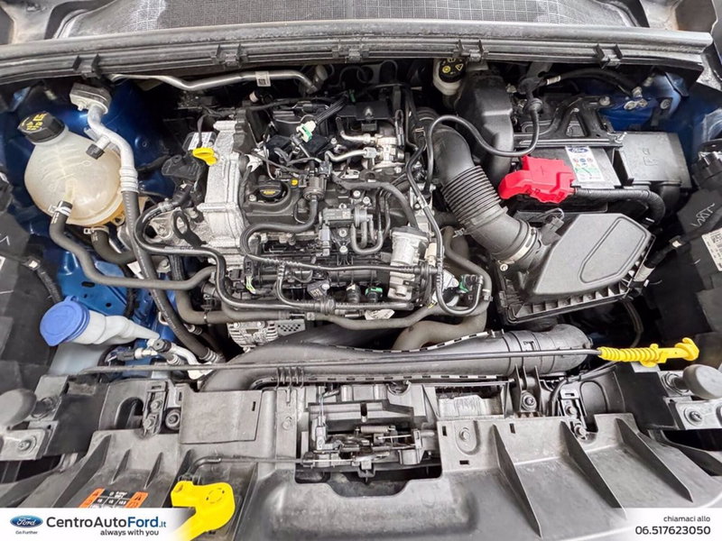 Ford Puma usata a Roma (12)