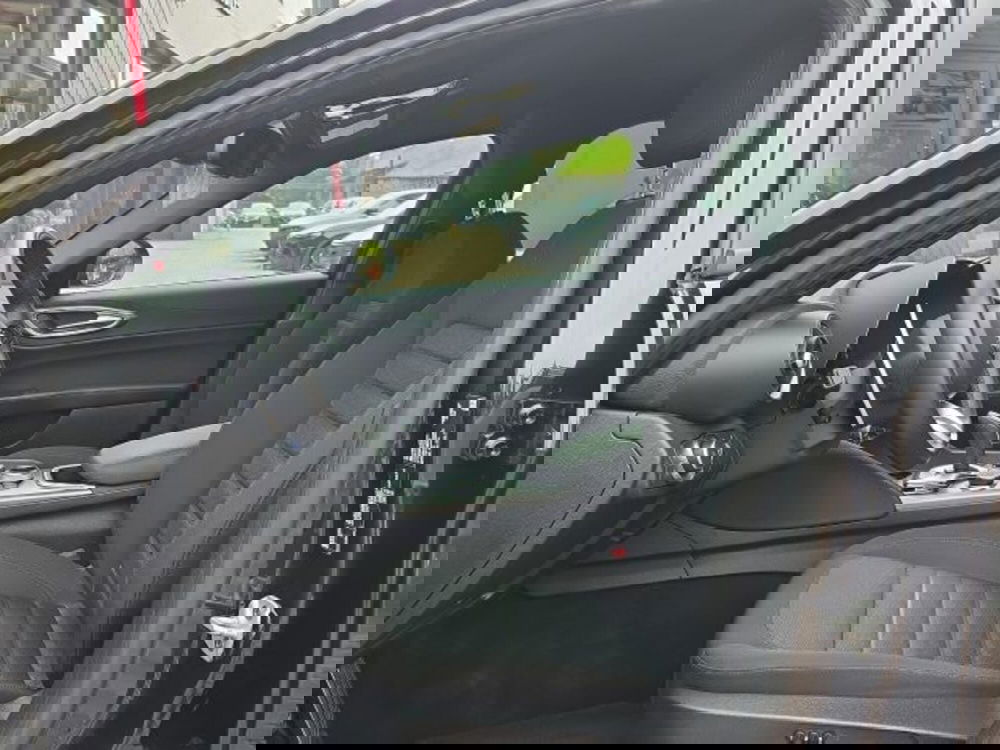 Alfa Romeo Giulia usata a Monza e Brianza (11)