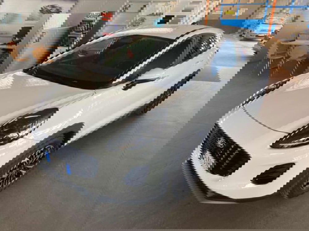 Ford Puma usata a Bologna