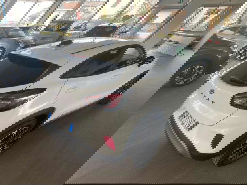 Ford Puma usata a Bologna (4)