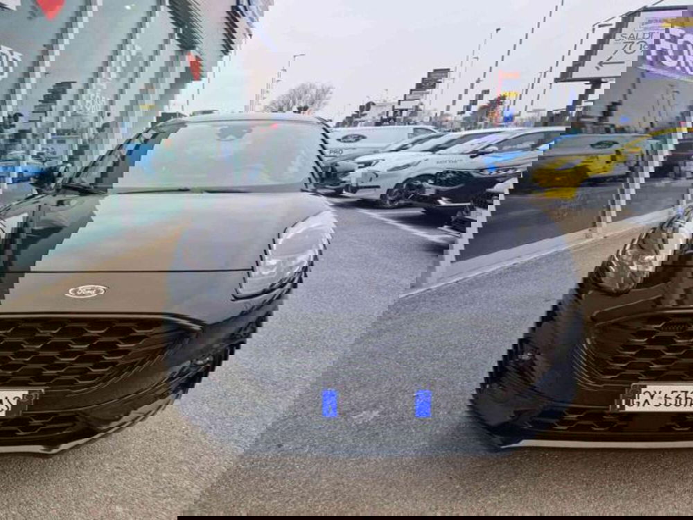 Ford Puma usata a Bologna (2)