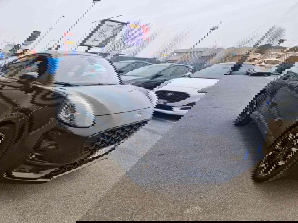 Ford Puma usata a Bologna (3)