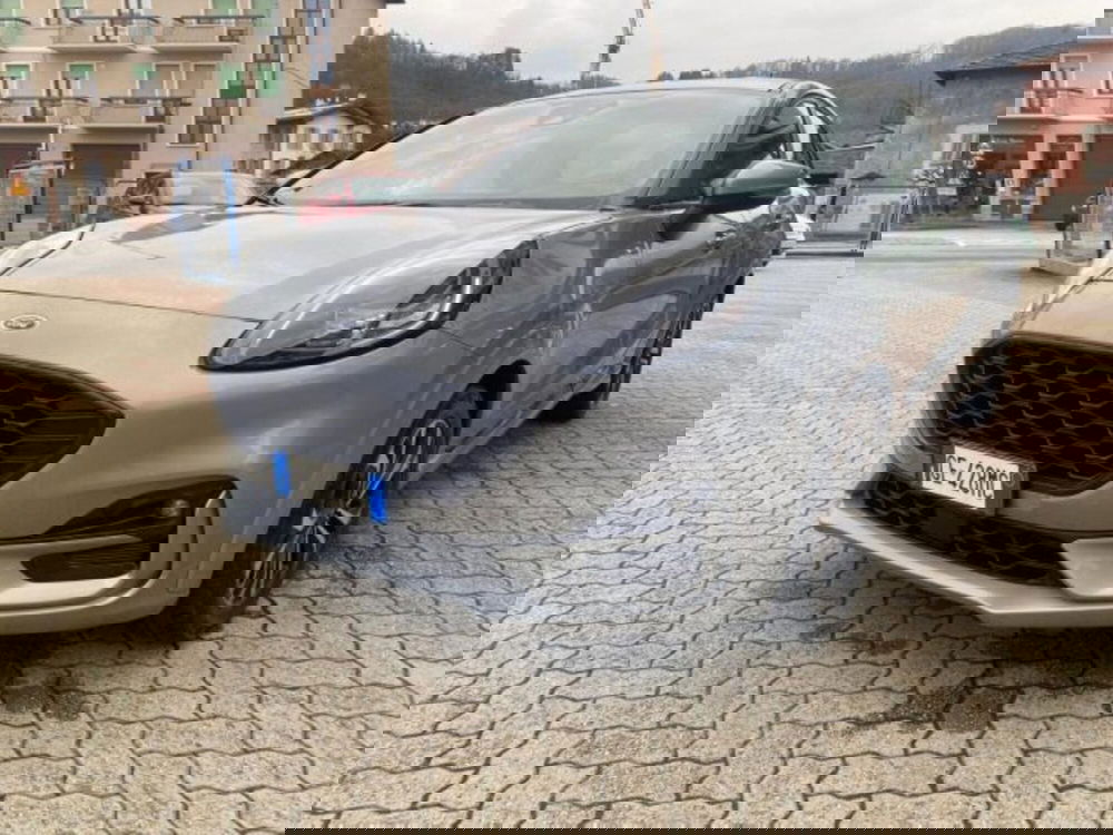 Ford Puma usata a Cuneo (3)