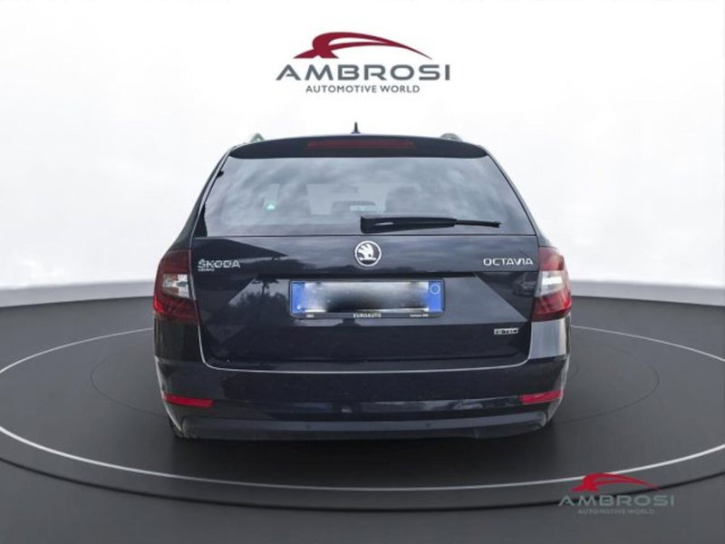 Skoda Octavia usata a Perugia (8)