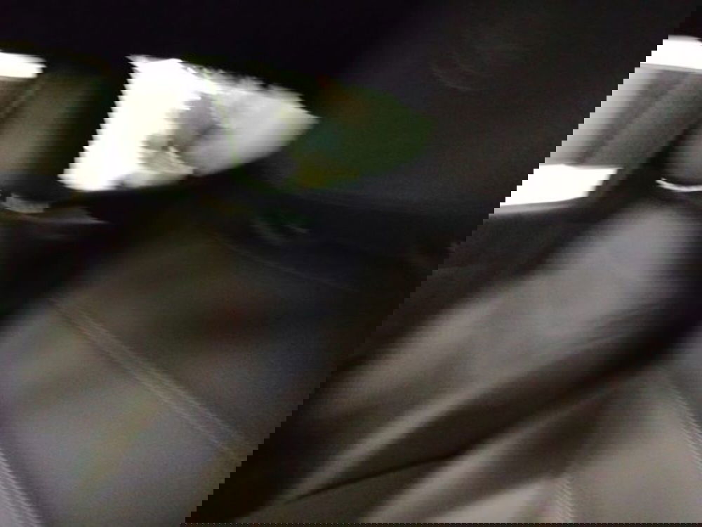 Alfa Romeo Tonale usata a Forlì-Cesena (13)