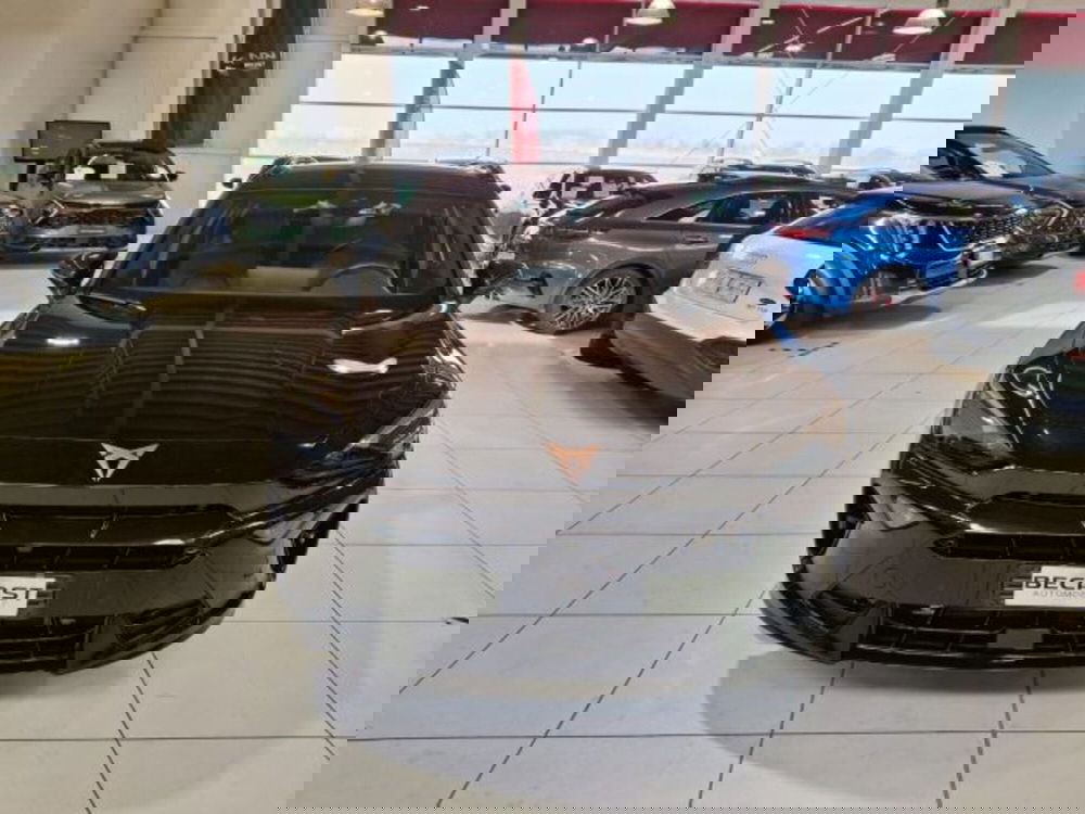 Cupra Formentor usata a Vicenza (2)