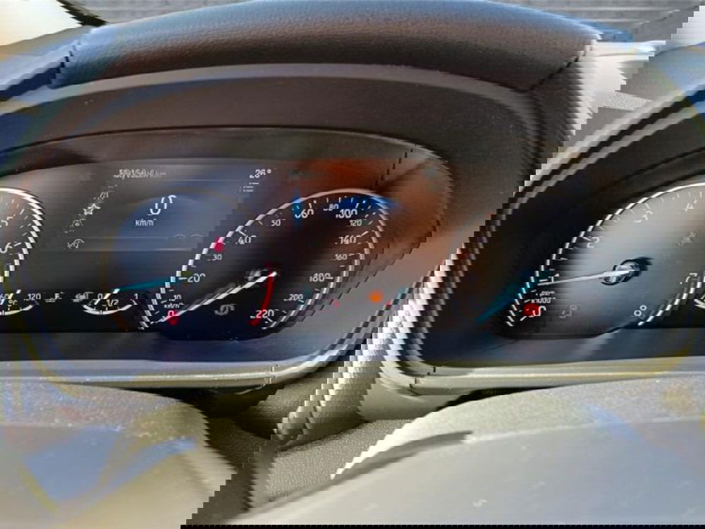 Ford EcoSport usata a Bari (16)