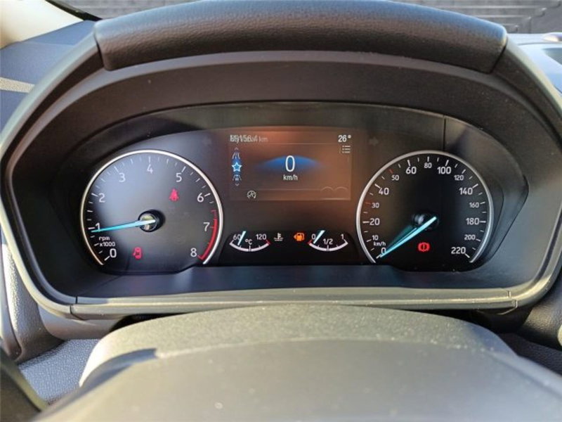 Ford EcoSport usata a Bari (16)
