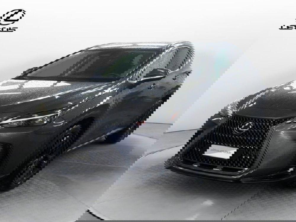 Lexus NX usata a Venezia