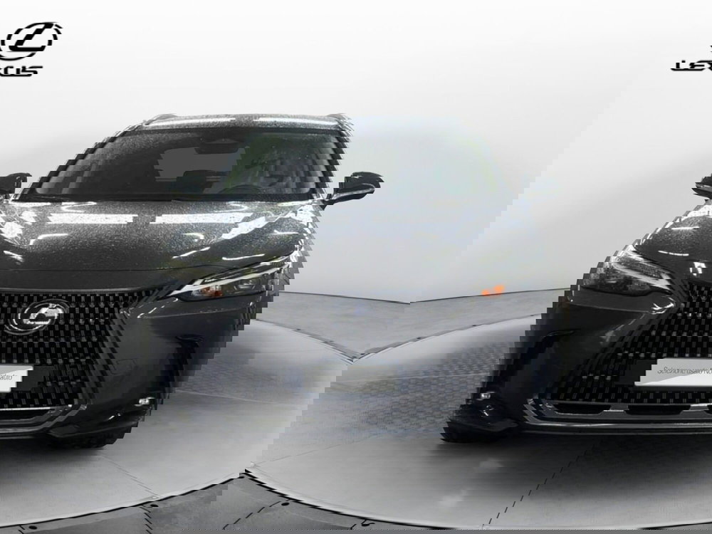 Lexus NX usata a Venezia (2)