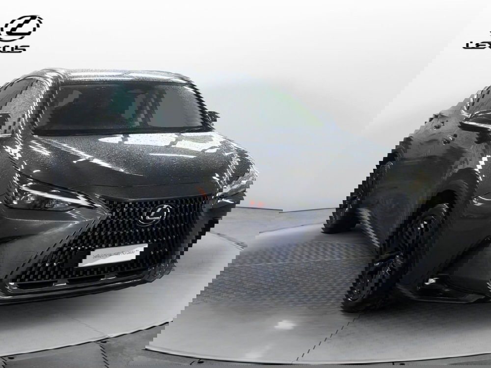 Lexus NX usata a Venezia (3)