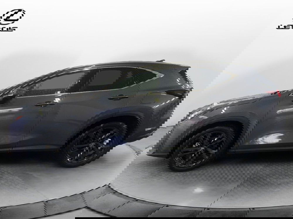 Lexus NX usata a Venezia (8)