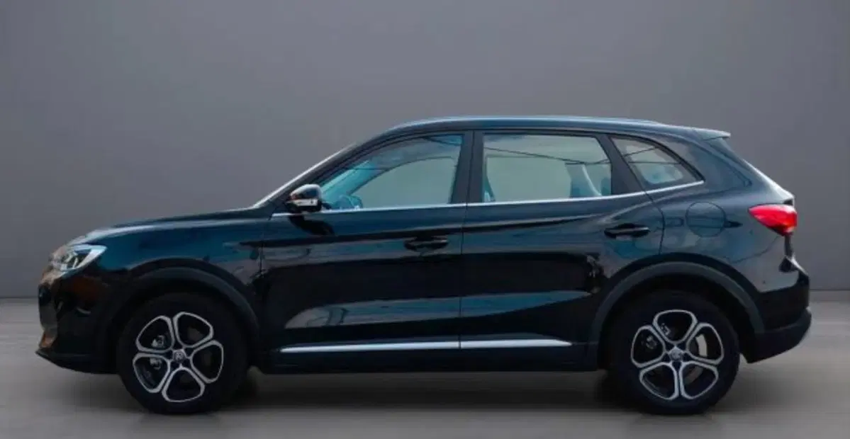 Mg ZS nuova a Bologna (2)