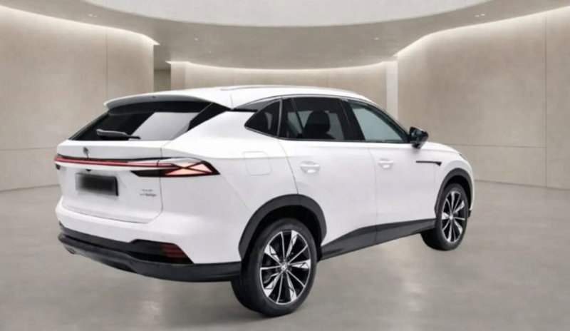 Mg HS nuova a Bologna (2)