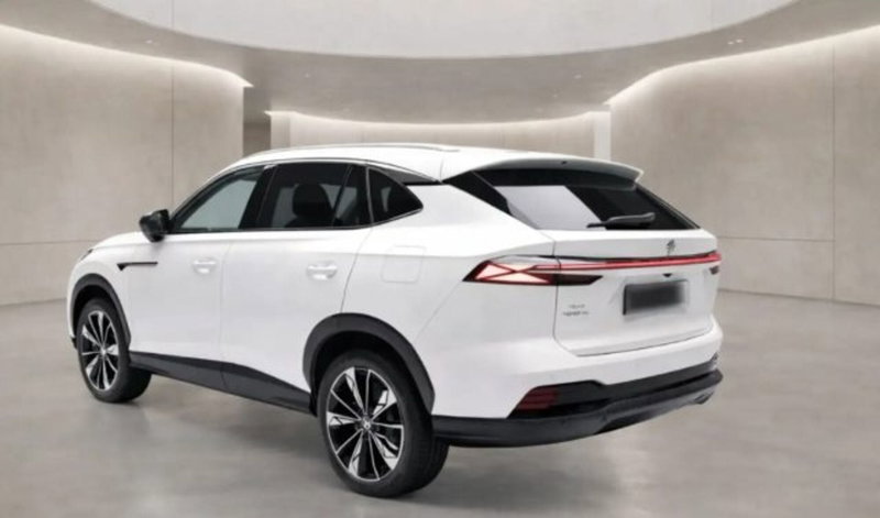 Mg HS nuova a Bologna (4)