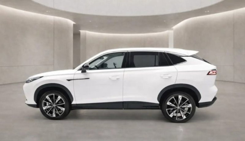 Mg HS nuova a Bologna (5)