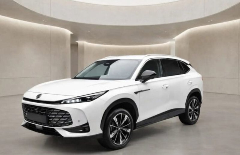 Mg HS nuova a Bologna (6)