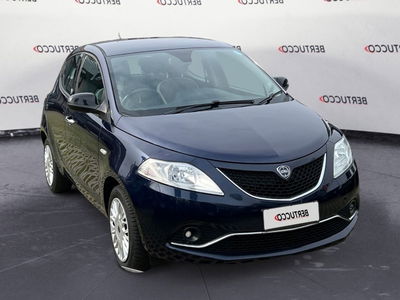 Lancia Ypsilon 1.2 69 CV 5 porte GPL Ecochic Gold del 2016 usata a Verona