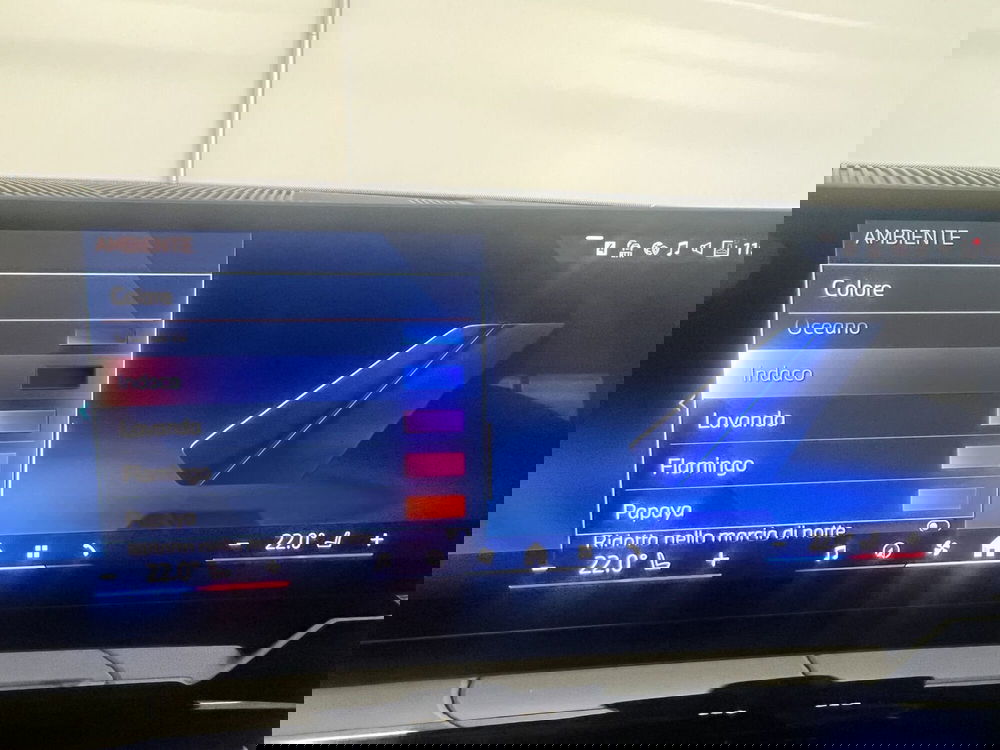 BMW Serie 5 Touring usata a Torino (16)