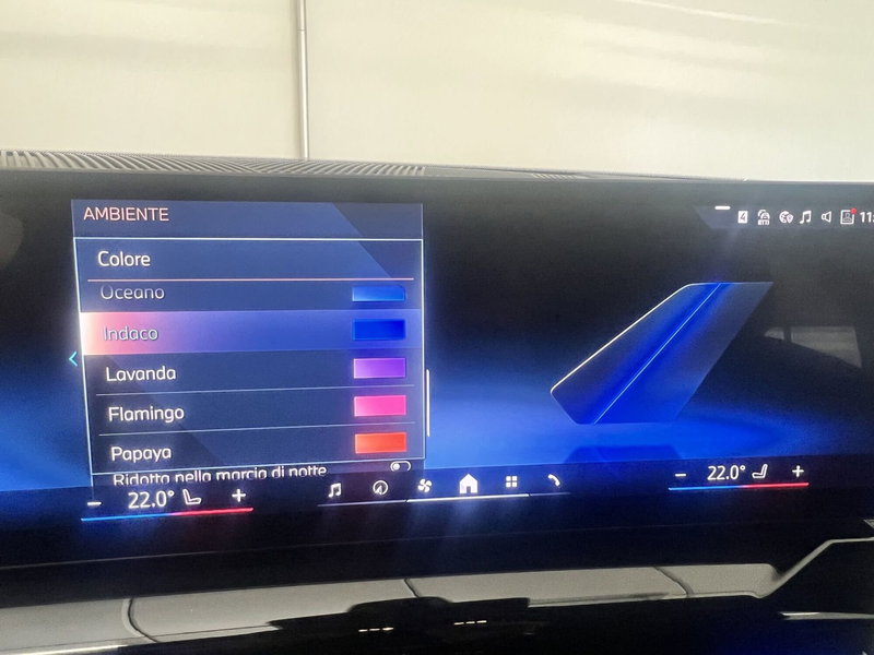 BMW Serie 5 Touring usata a Torino (16)