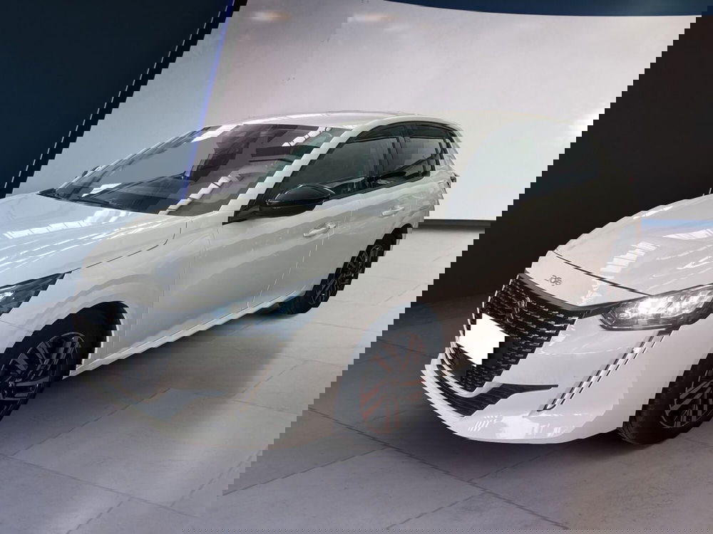 Peugeot 208 usata a Torino (2)