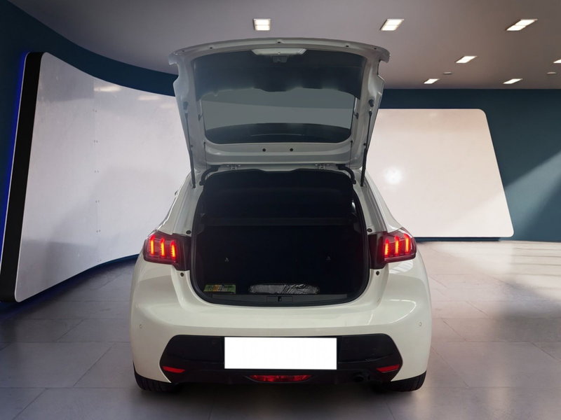 Peugeot 208 usata a Torino (6)