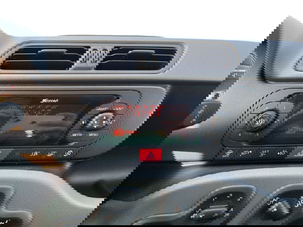 Fiat Panda usata a Torino (14)