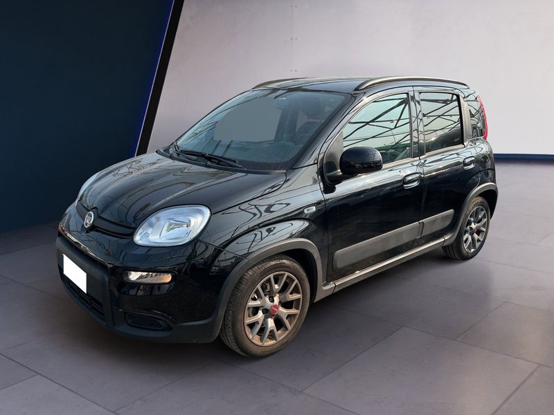 Fiat Panda usata a Torino (2)