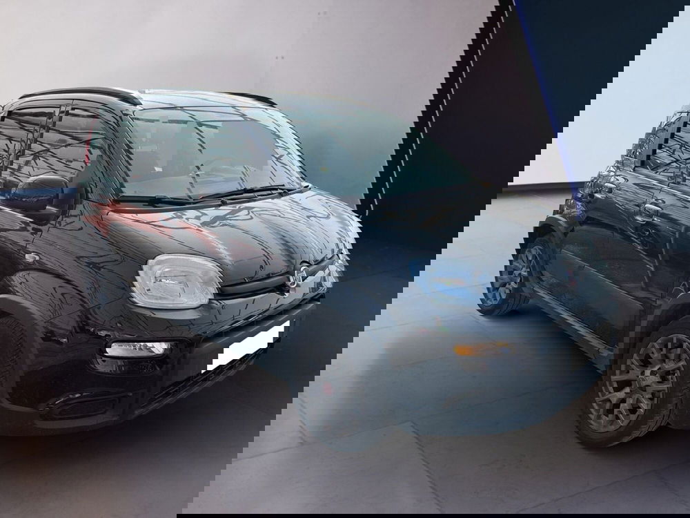 Fiat Panda usata a Torino (3)