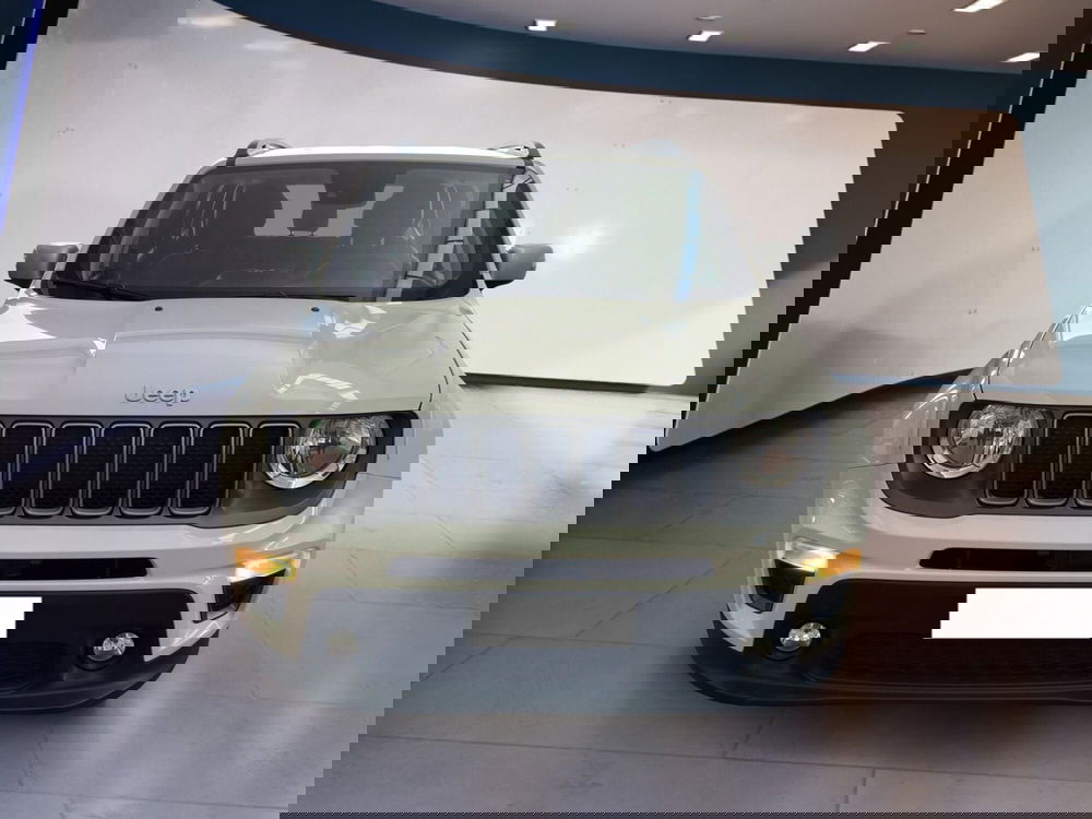 Jeep Renegade usata a Torino