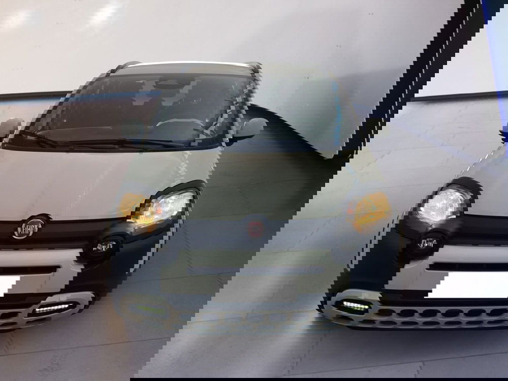 Fiat Pandina usata a Torino