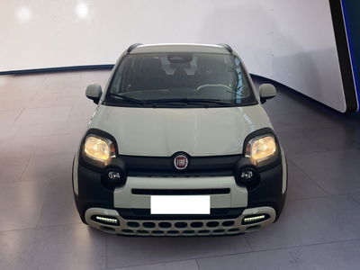 Fiat Pandina 1.0 firefly hybrid s&amp;s 70cv del 2024 usata a Torino