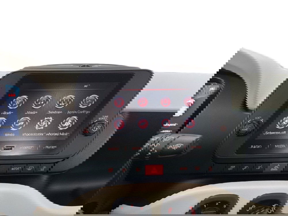 Fiat Pandina usata a Torino (14)