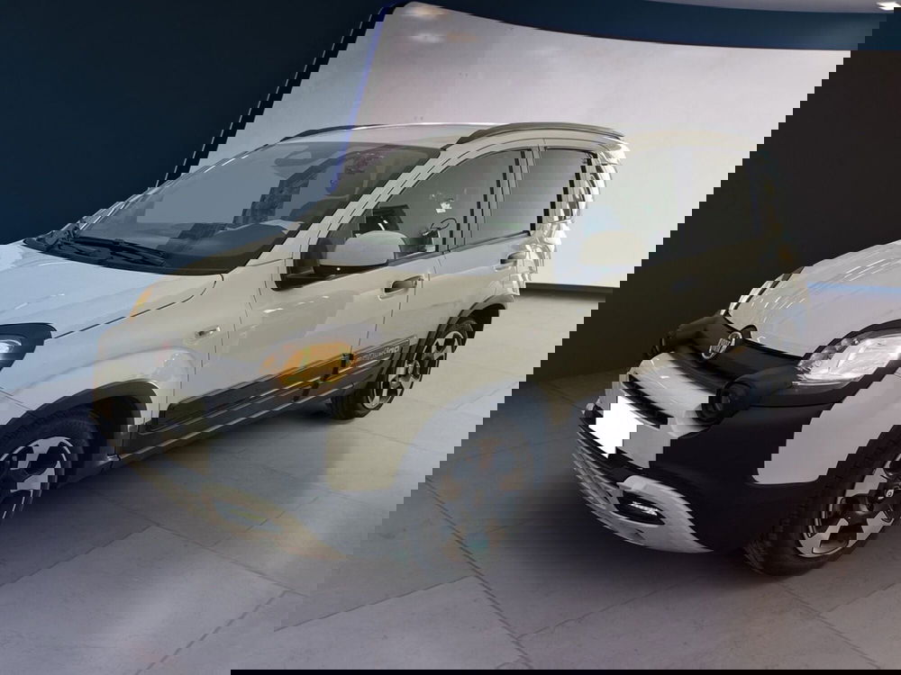 Fiat Pandina usata a Torino (3)