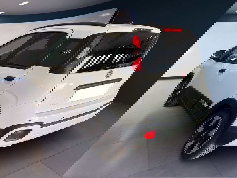 Fiat Pandina usata a Torino (4)