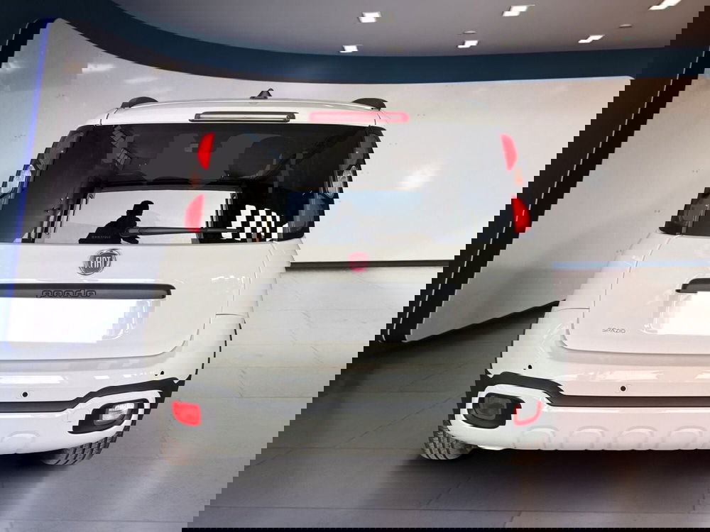 Fiat Pandina usata a Torino (5)