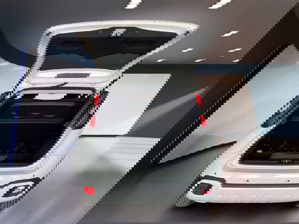 Fiat Pandina usata a Torino (8)