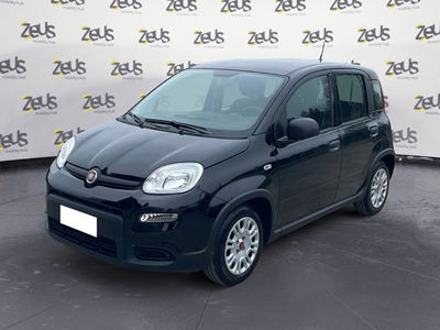 Fiat Panda Cross Cross 1.0 FireFly S&amp;S Hybrid del 2024 usata a Imola