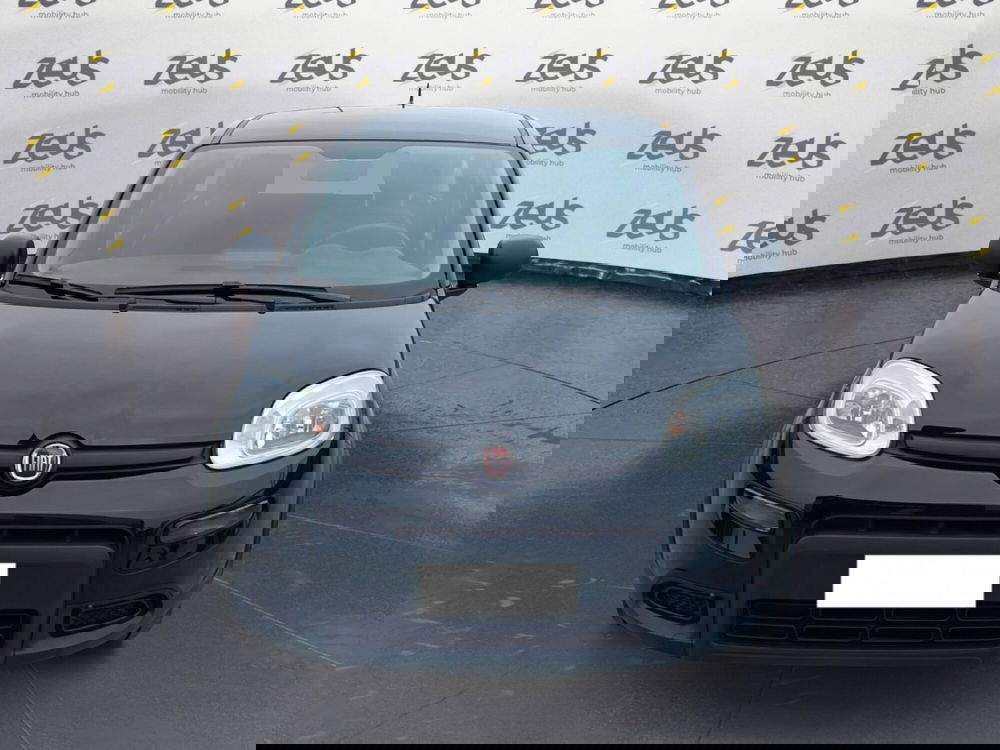 Fiat Panda Cross usata a Bologna (2)