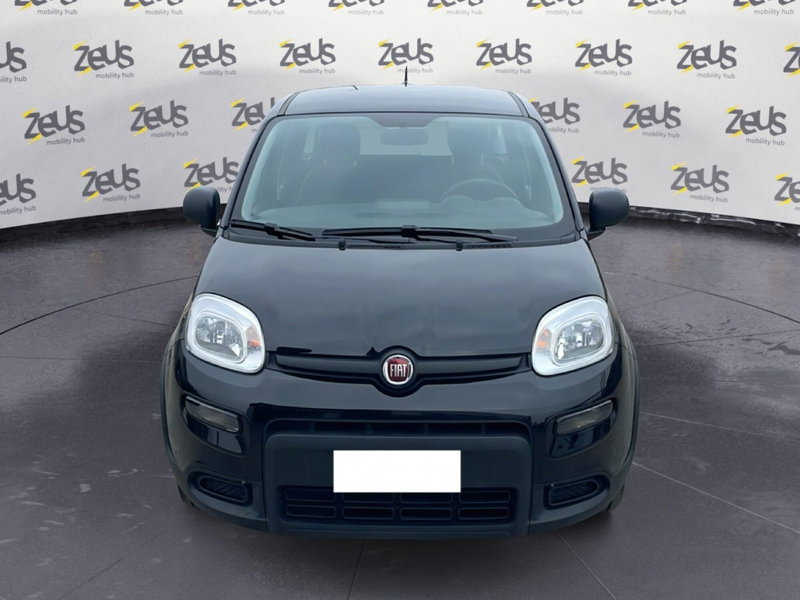 Fiat Panda Cross usata a Bologna (2)