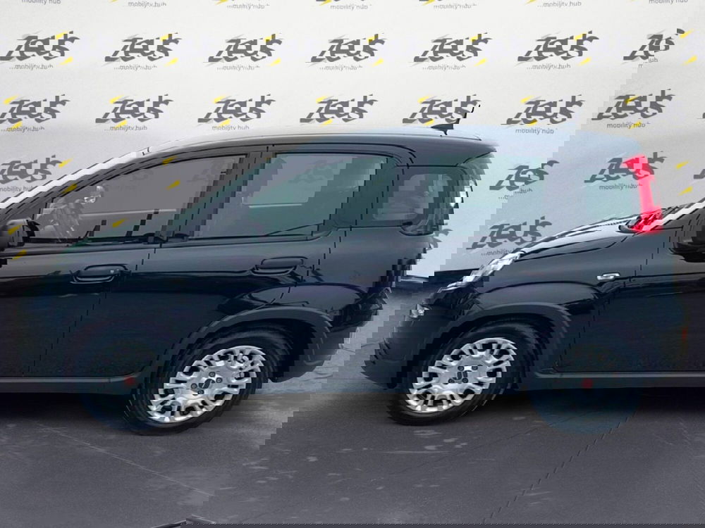 Fiat Panda Cross usata a Bologna (3)