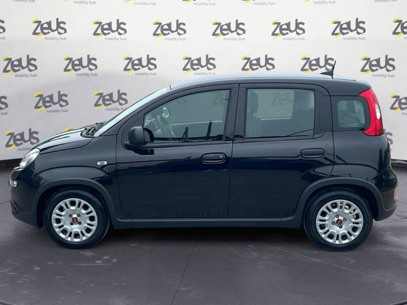Fiat Panda Cross usata a Bologna (3)