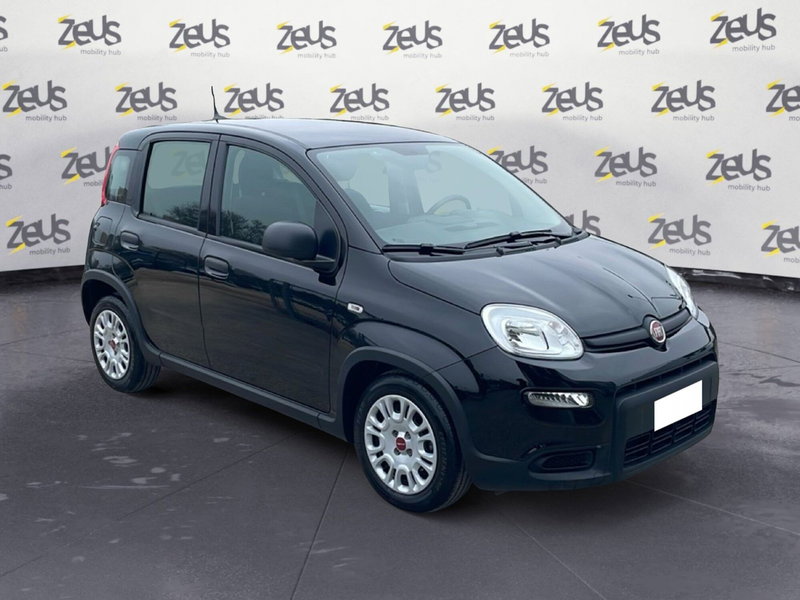 Fiat Panda Cross usata a Bologna (8)