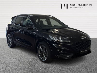 Ford Kuga 2.0 EcoBlue 120 CV aut. 2WD ST-Line X del 2023 usata a Bari