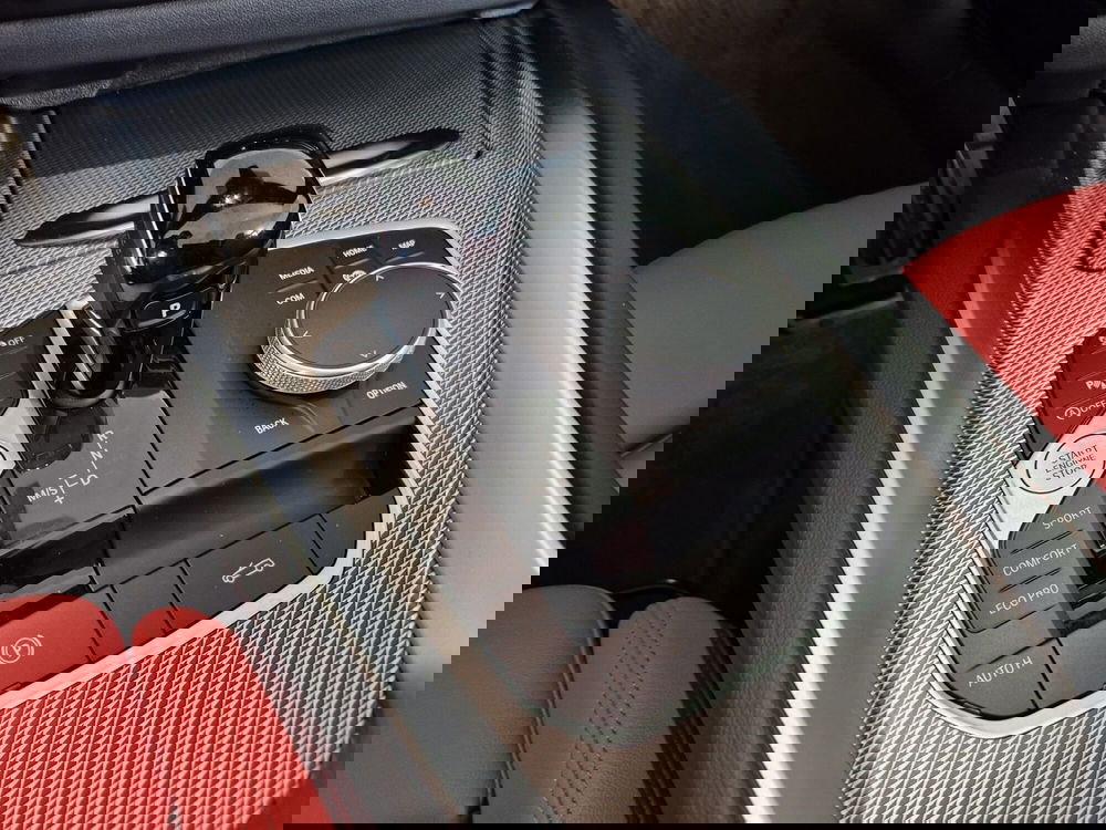 BMW Z4 Cabrio usata a Cuneo (11)