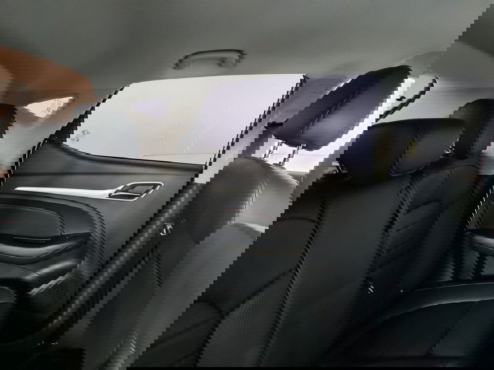 Mg ZS usata a Monza e Brianza (13)