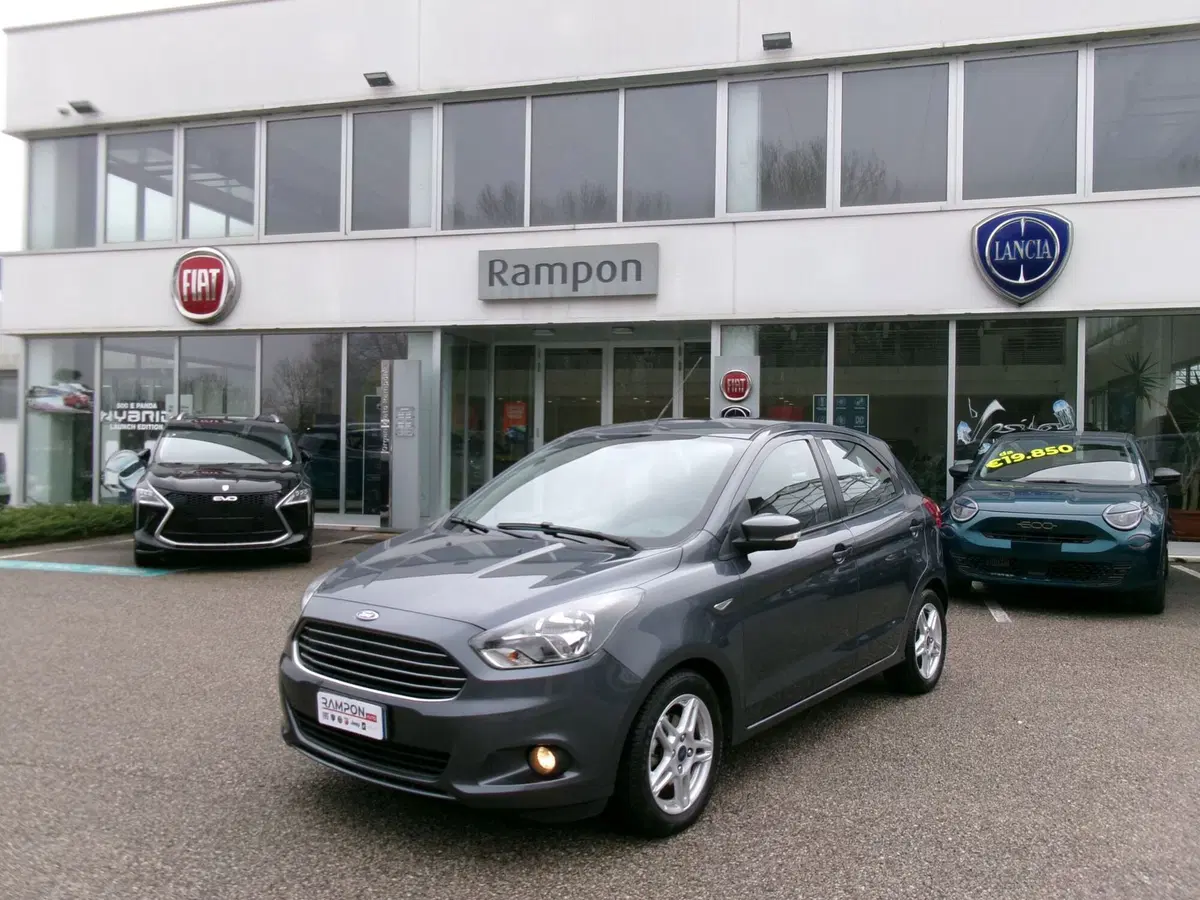 Ford Fiesta usata a Venezia